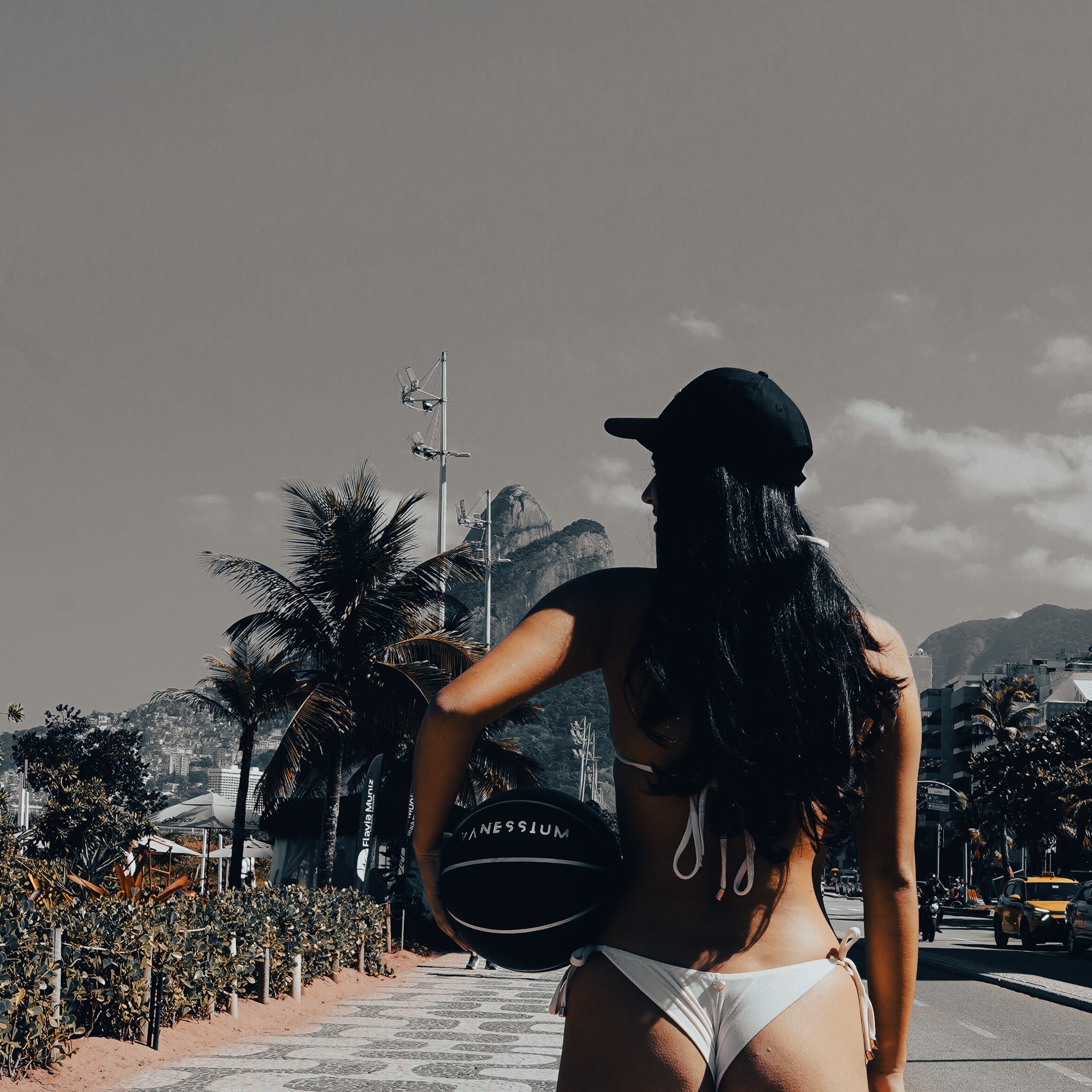 Palla da Basket